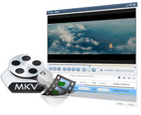 conversor de BLU-RAY a MKV