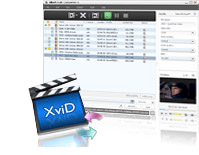 XviD Convert